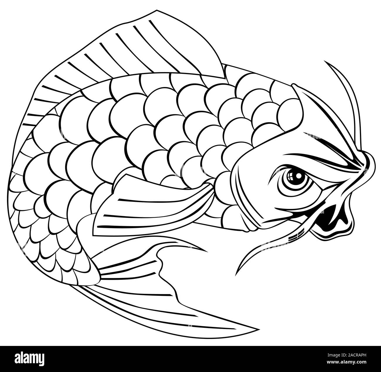 Carpe koï poisson sautant le dessin des lignes Banque D'Images