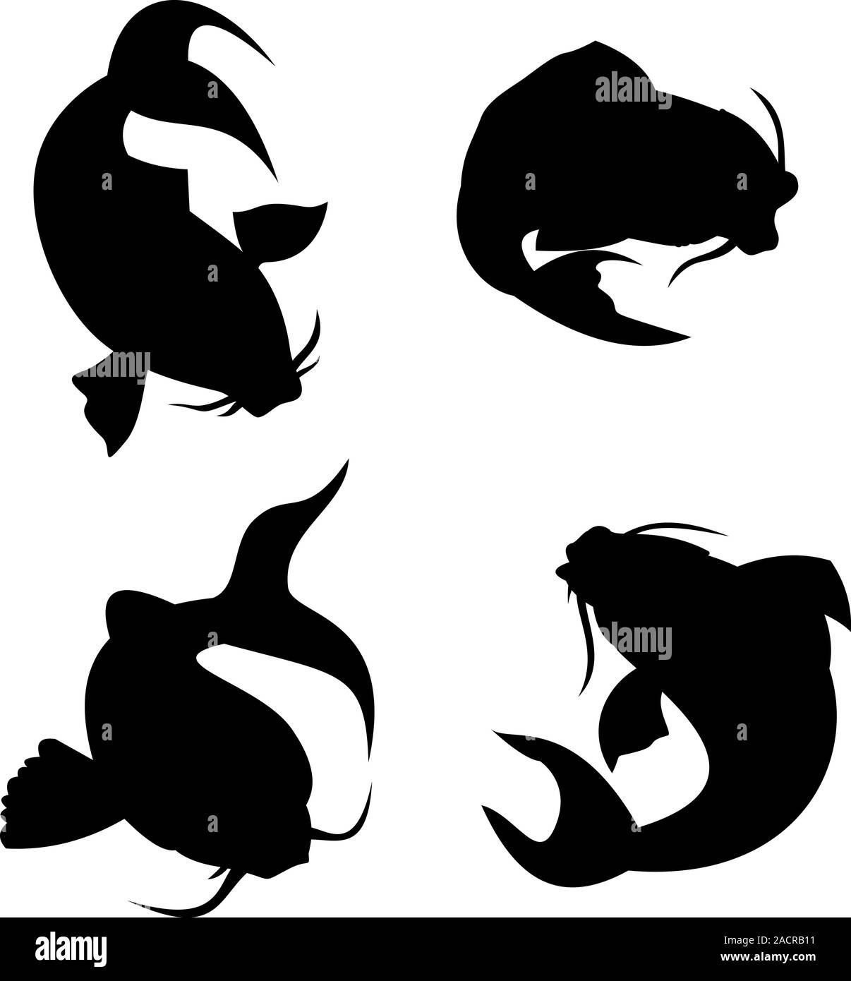 La carpe koï Silhouette Banque D'Images