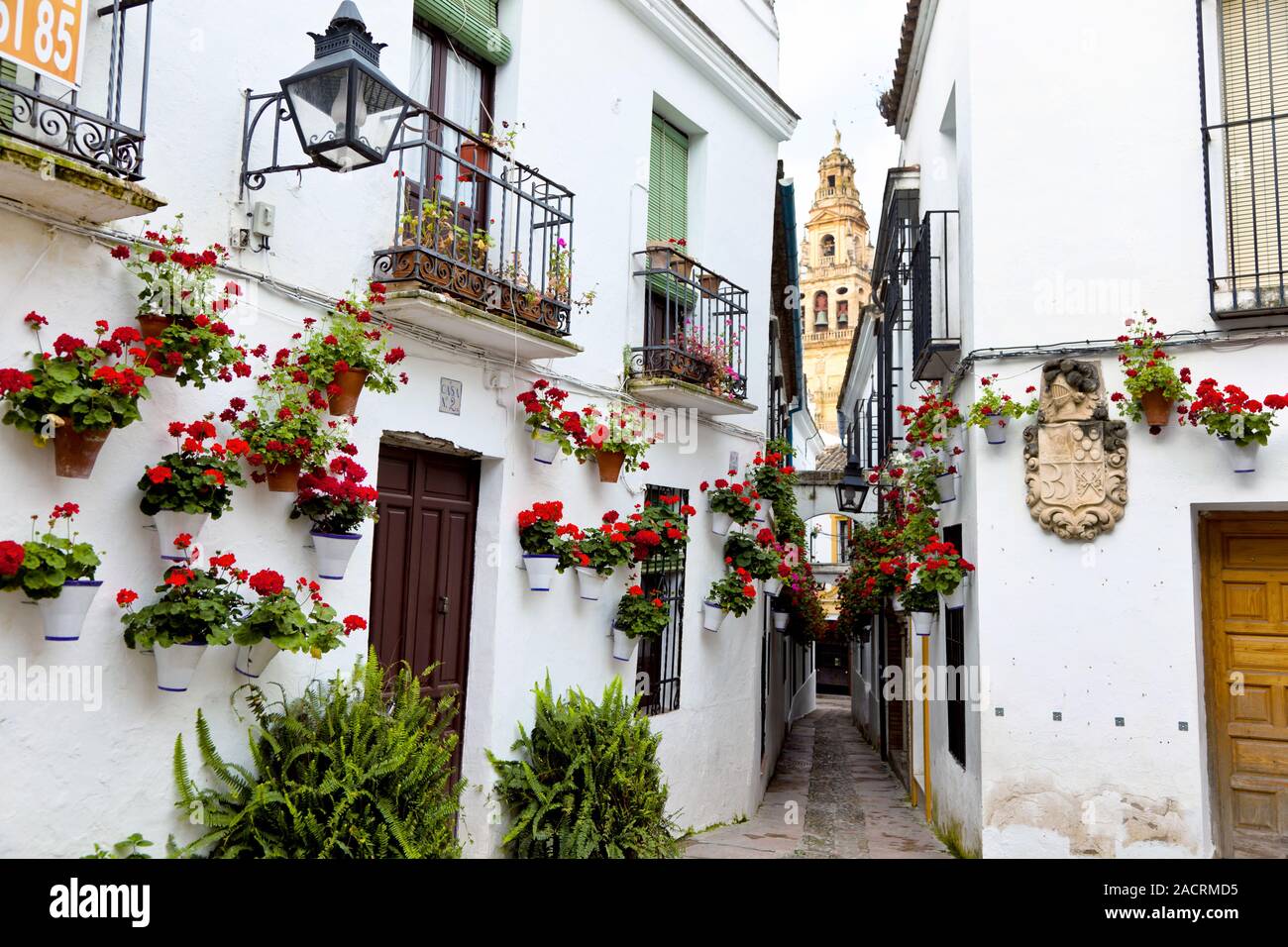 Spanien, Cordoba, calleja de las Flores Banque D'Images