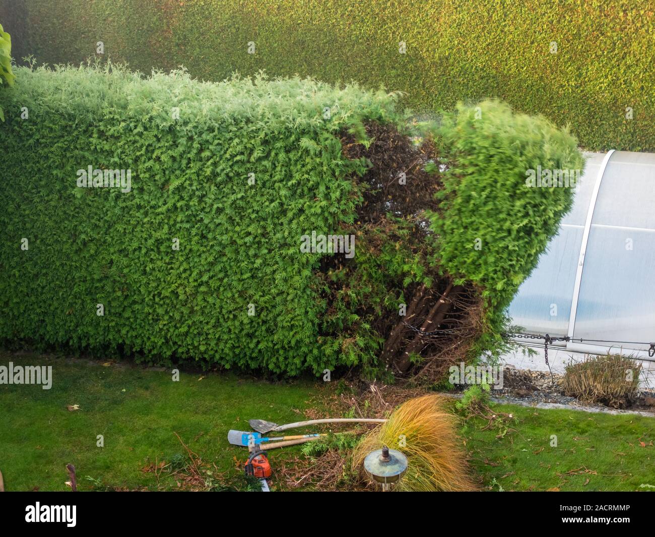 Jardiniers au travail Banque D'Images