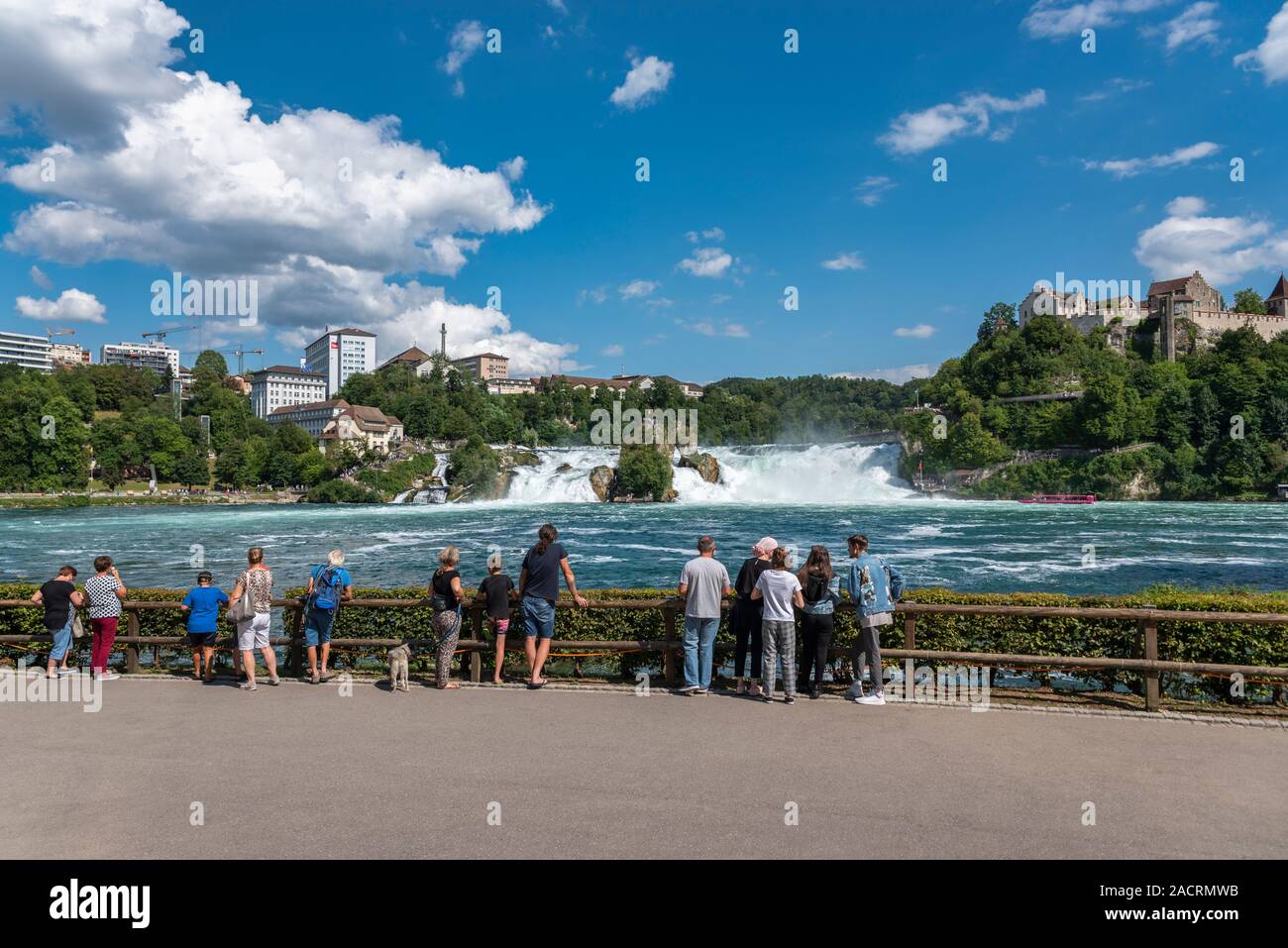 Chutes du Rhin à Laufen château, Neuhausen am Rheinfall, canton de Schaffhouse, Suisse, Europe Banque D'Images