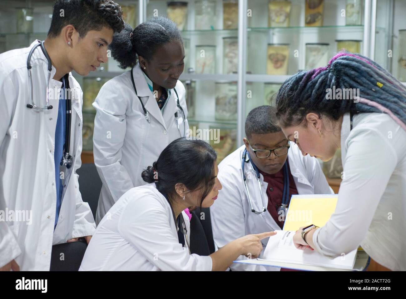 Les médecins, mixed race, dans la salle de classe, à une conférence médicale. Les jeunes, en blouse blanche, avec les stéthoscopes, étudient la médecine. Classe, Ana Banque D'Images