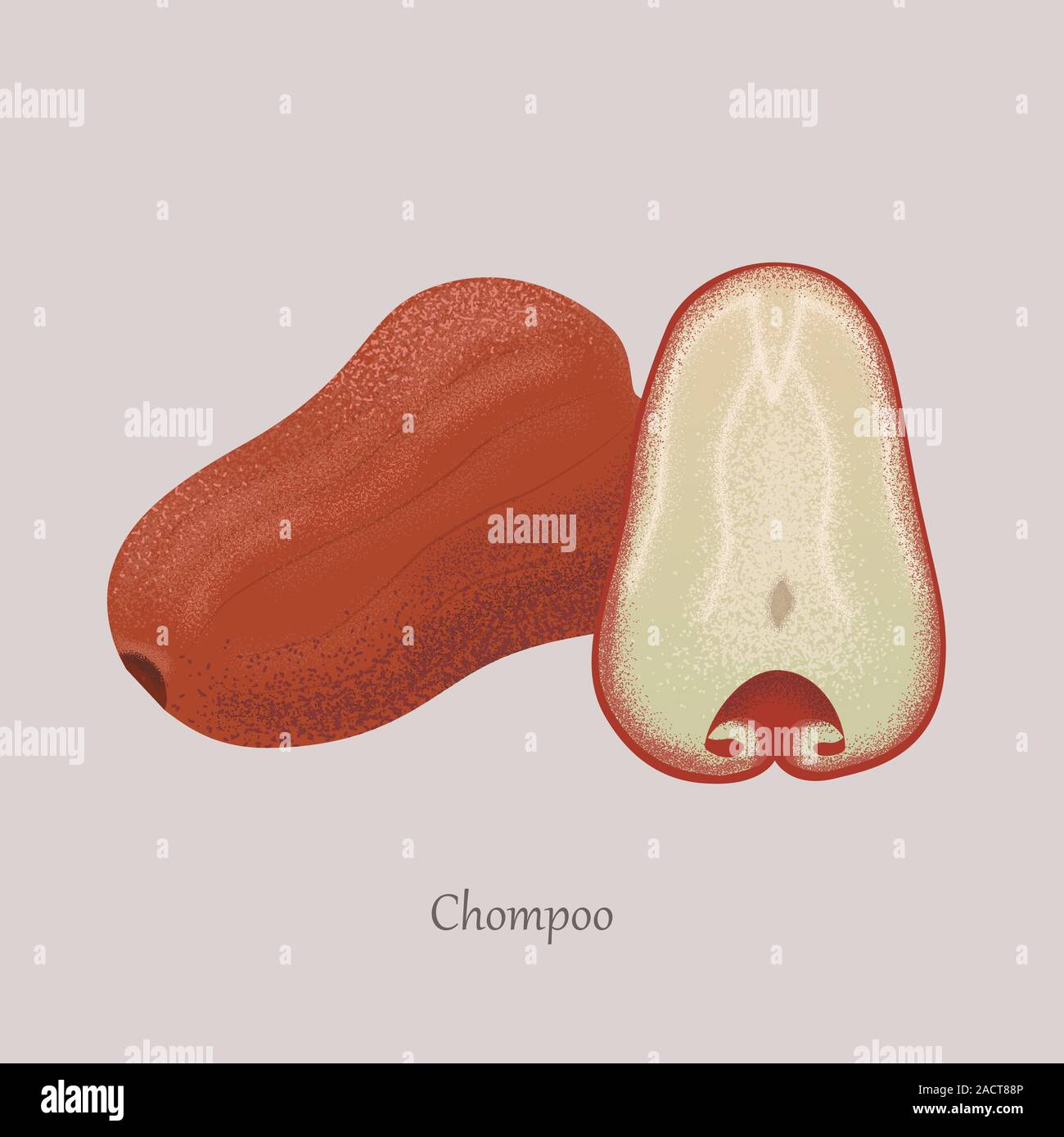 Apple rose, Chompoo ensemble fruits exotiques et une coupe. Illustration de Vecteur