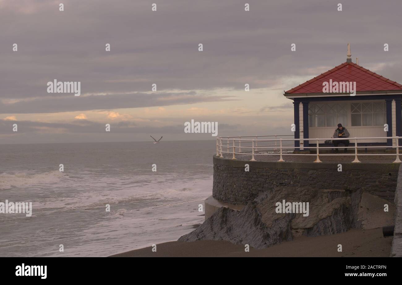 Ceredigion Aberystwyth Wales/UK 28 Novembre 2019 : la lecture d'un livre sur le front de mer abri public par une froide journée venteuse. Banque D'Images