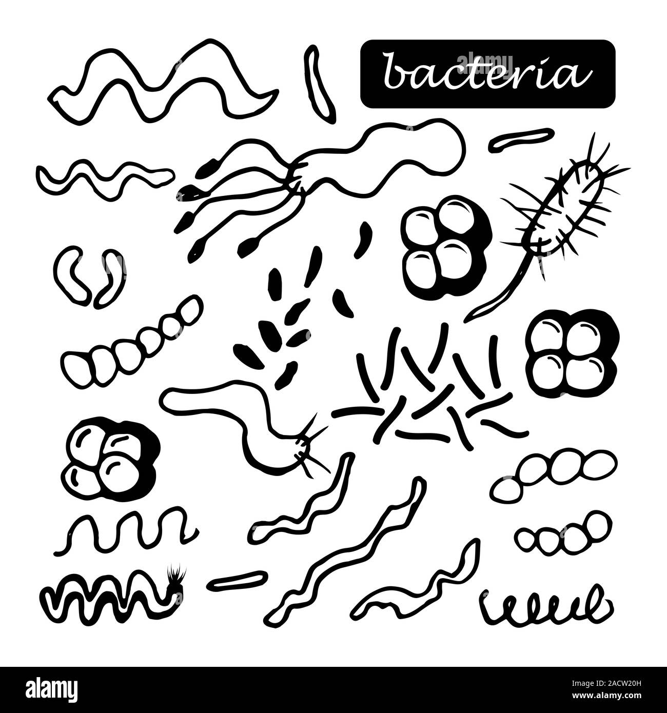Les bactéries et les microbes doodle set, les micro-organismes causant des maladies d'objets. Le bacille de la maladie, les microbes, virus et micro-organismes contours vector illustration Illustration de Vecteur