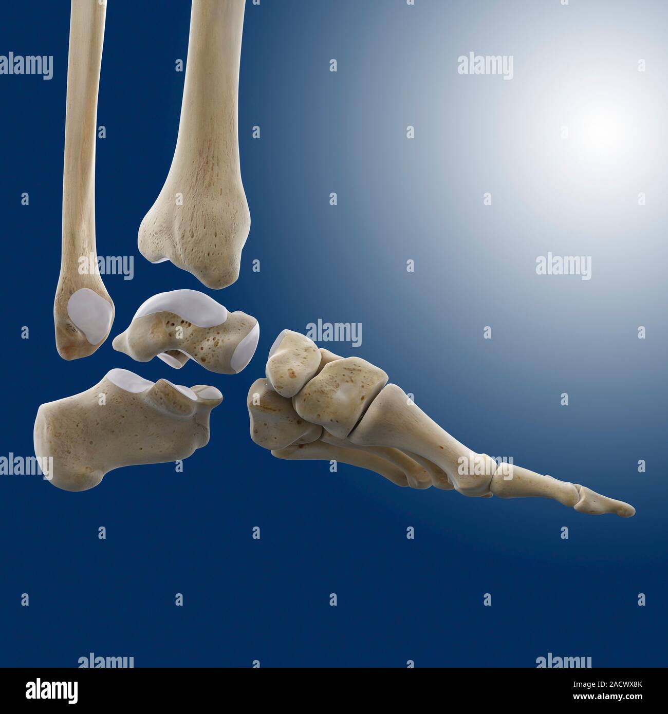 Ломает кости что это. Роблокс лилит. Игра где человек ломает кости. Ломает кости что это. Ломает кости что это.