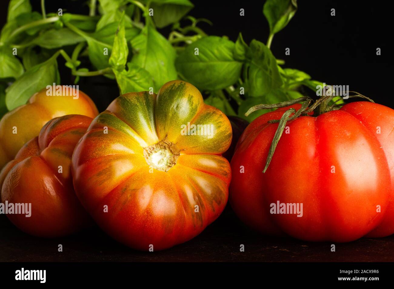 Les tomates rouges et les feuilles de basilic sur fond sombre Banque D'Images