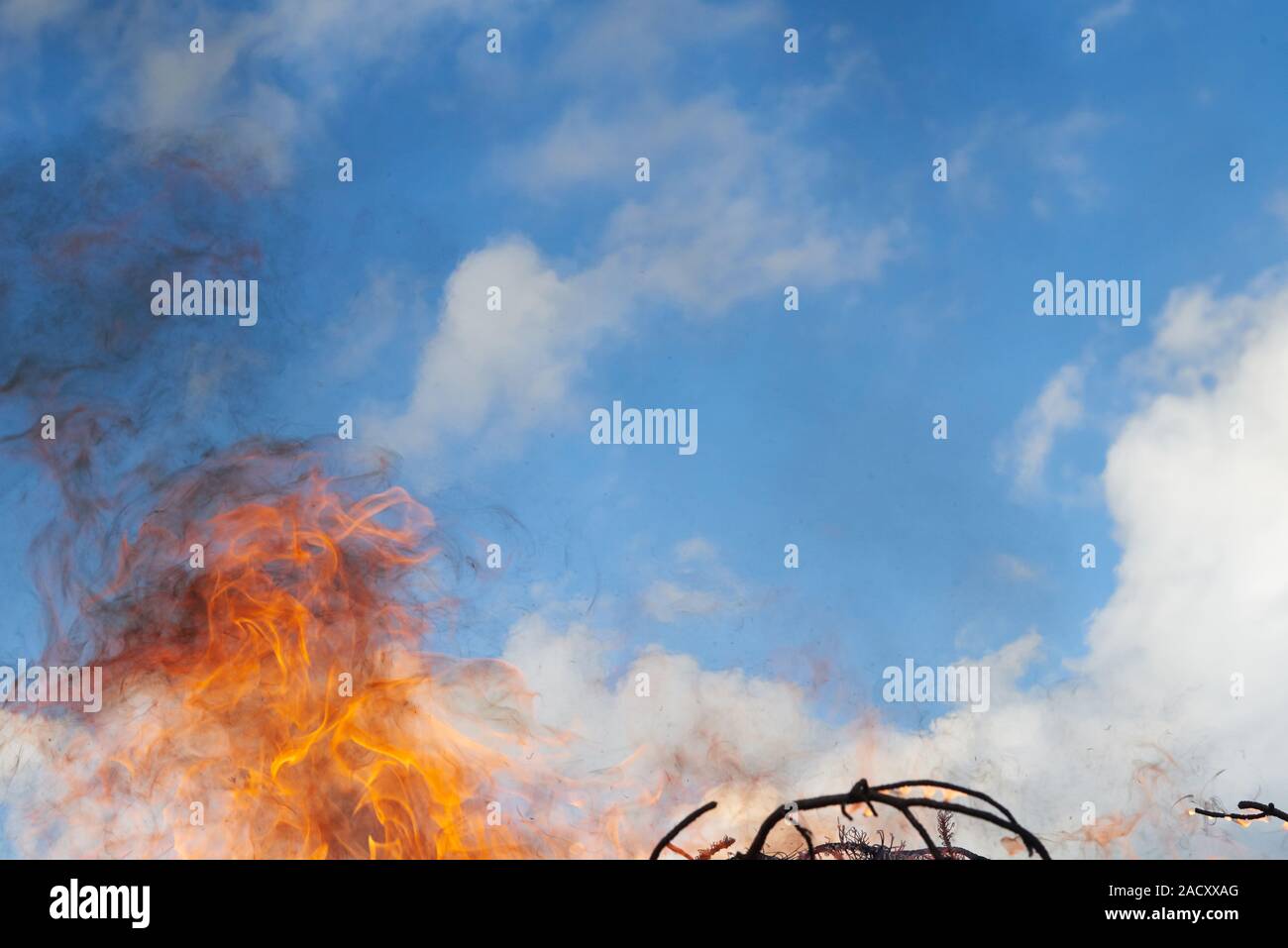 feu de camp Banque D'Images