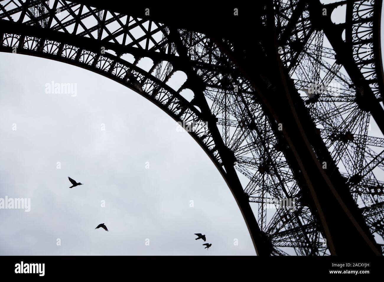 Les pigeons volant sous la Tour Eiffel au cours de jour de pluie Banque D'Images