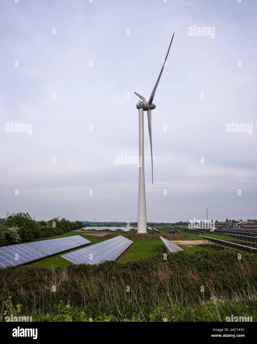 L'énergie propre (plante hybride solaire et éolienne) qui fournit 80 