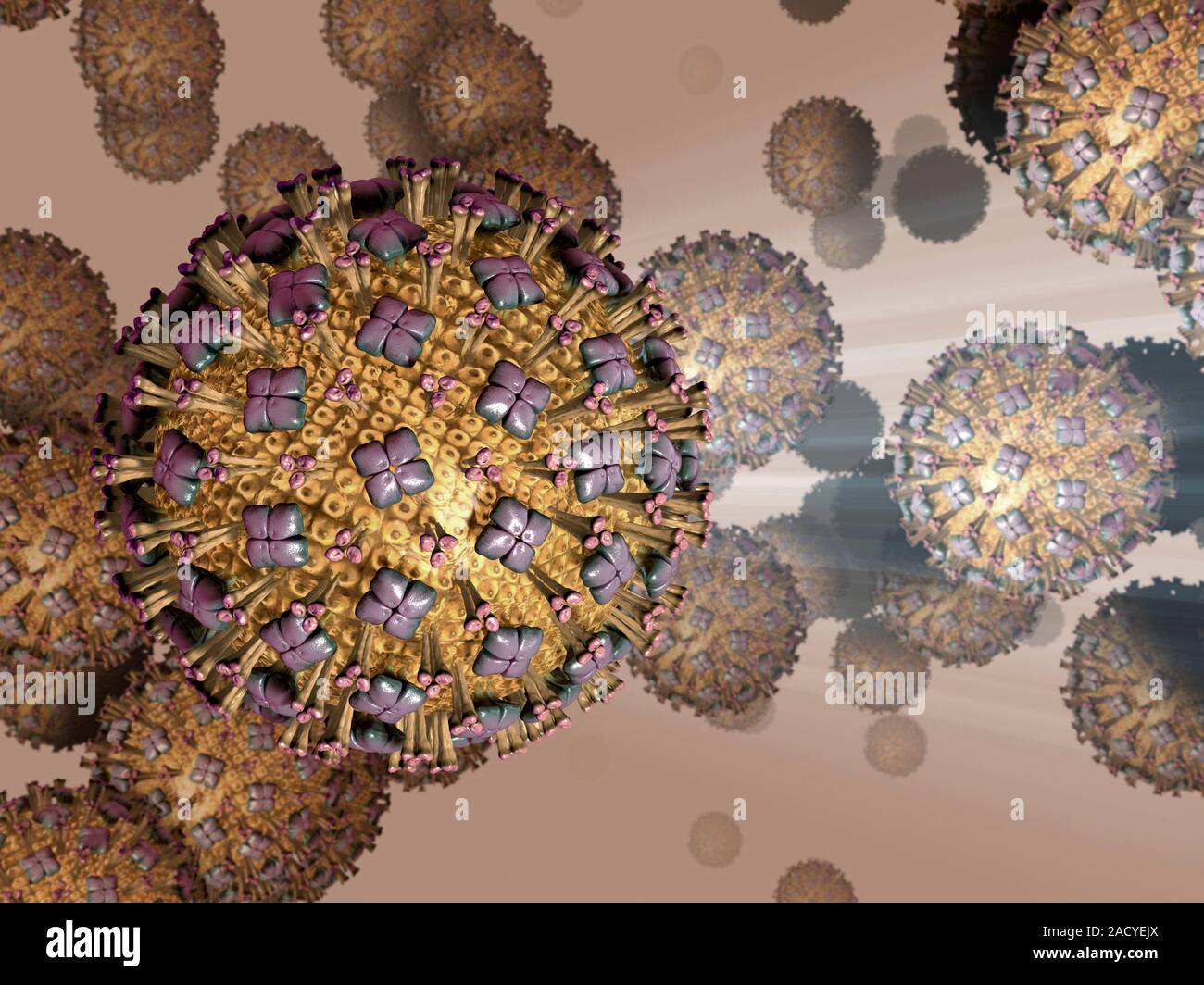 Les droits de l'virus respiratoire syncytial (VRS), art de l'ordinateur. Banque D'Images