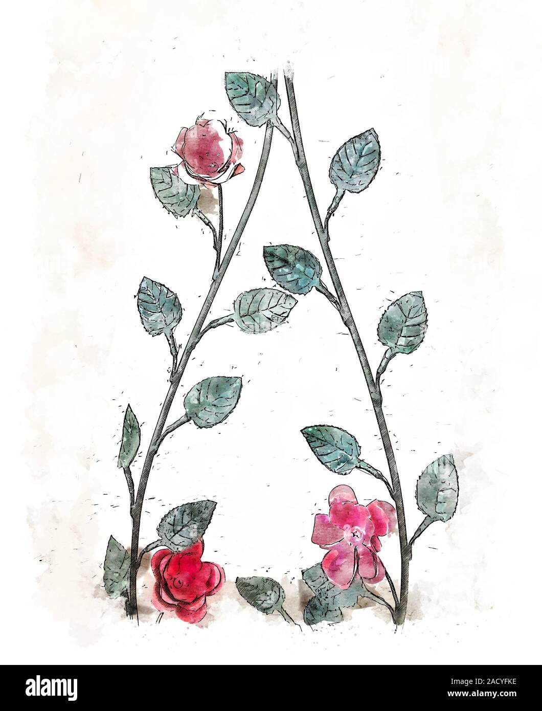 Feuilles et fleurs illustration art design pour la décoration. Banque D'Images