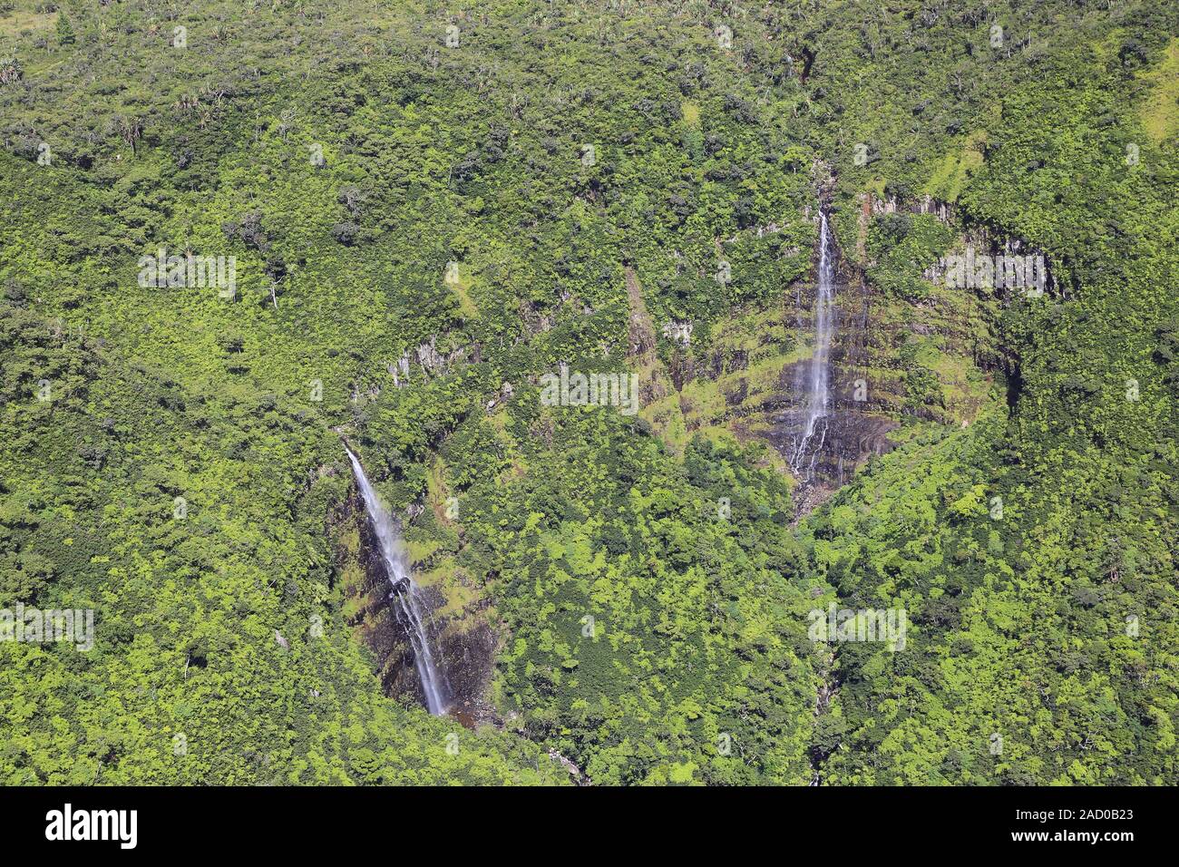 L'Ile Maurice, Rivière Noire Georges National Park, Black River Falls Banque D'Images