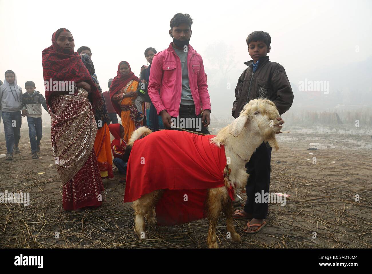 Bara, au Népal. 19Th Mar, 2019. Les gens apportent une chèvre pour la cérémonie sacrificielle de Gadhimai festival près de chez d'un temple à Bariyapur, Bara, le Népal, le 3 décembre 2019. Les dévots hindous célèbrent le festival de Gadhimai, qui a lieu une fois tous les cinq ans, avec le sang des animaux tués, fraîchement que le sacrifice rituel à Gadhimai, la déesse du pouvoir. Credit : Sunil Sharma/Xinhua/Alamy Live News Banque D'Images
