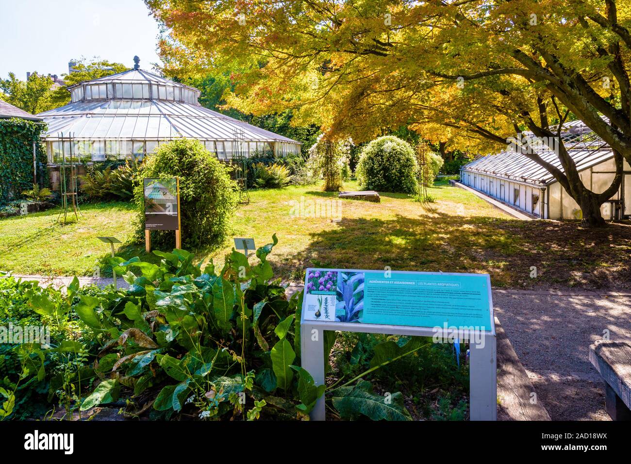 Les émissions de Bary est le seul reste de la monumentale serre du Jardin botanique de l'Université de Strasbourg en France. Banque D'Images
