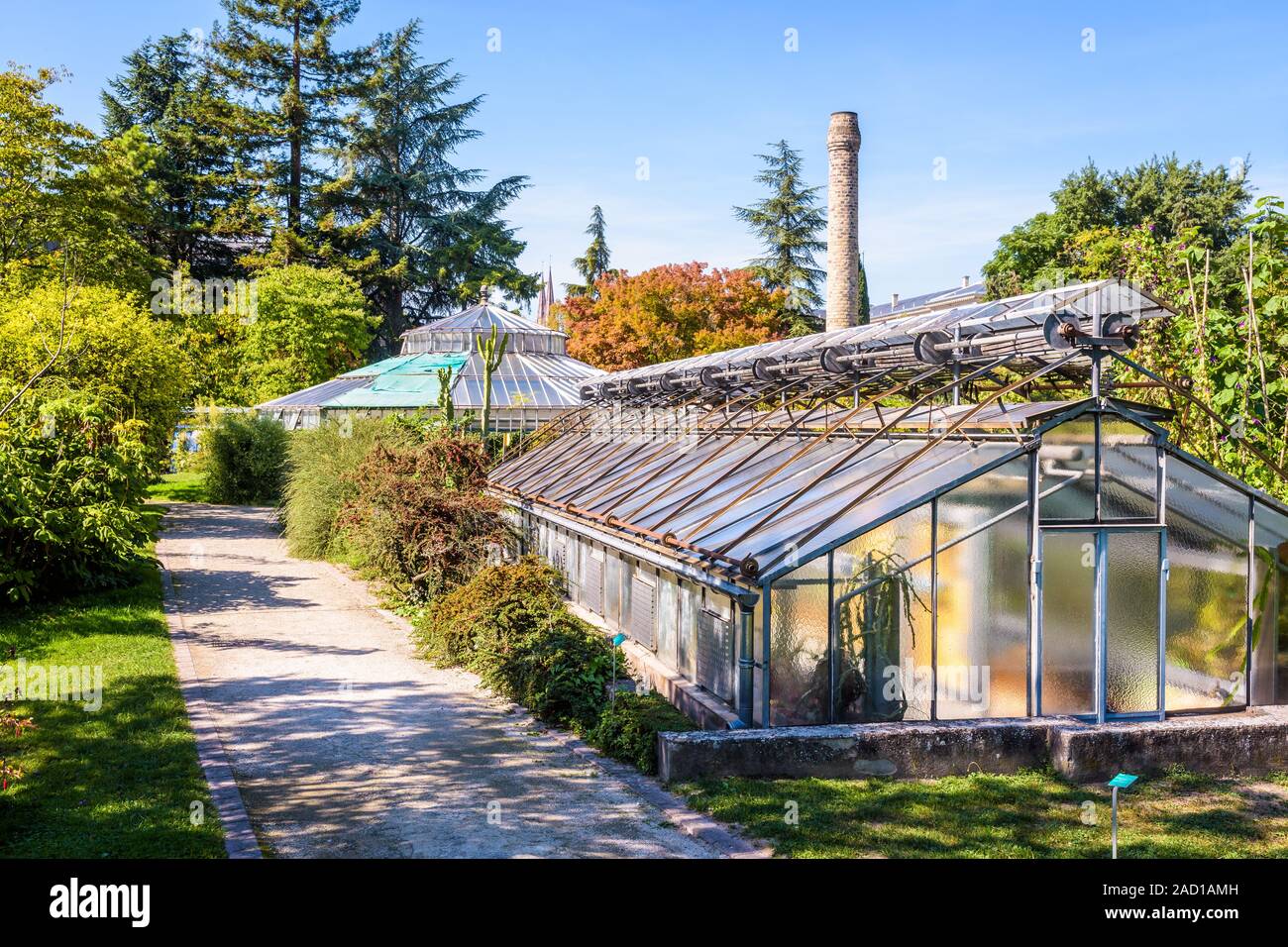Les émissions de Bary est le seul reste de la monumentale serre du Jardin botanique de l'Université de Strasbourg en France. Banque D'Images