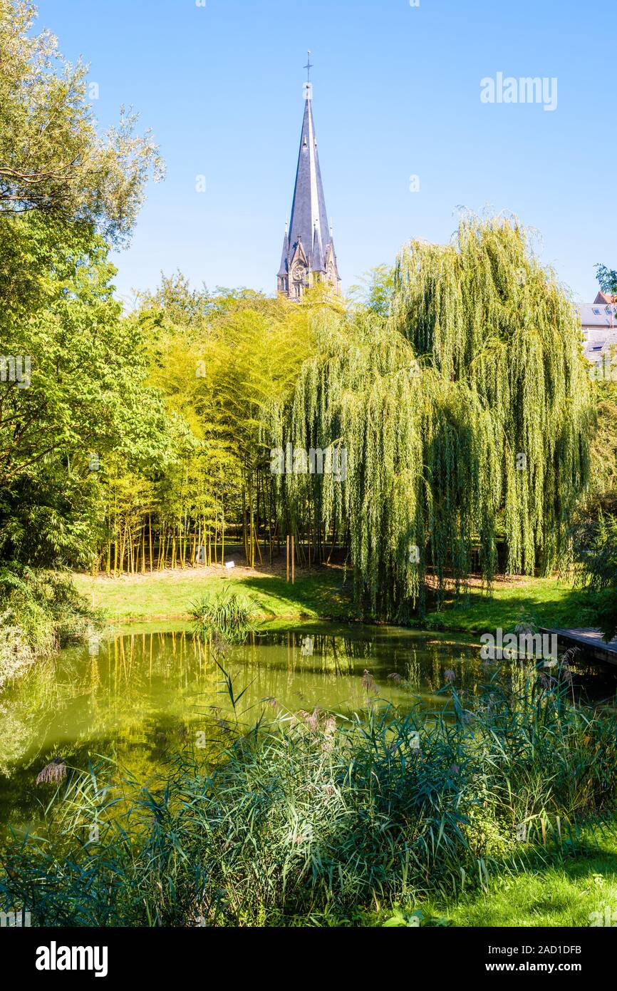 Arboretum du jardin botanique de l'Université de Strasbourg, France et clocher de l'église Saint-Maurice coller dehors au-dessus des arbres. Banque D'Images