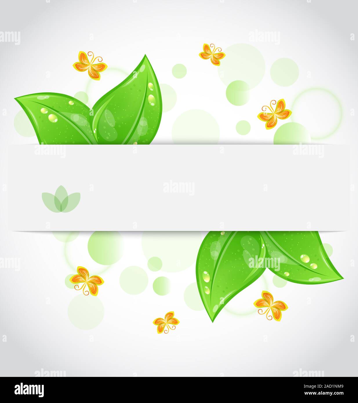 Eco green feuilles avec avec papillon isolated on white backgroun Banque D'Images