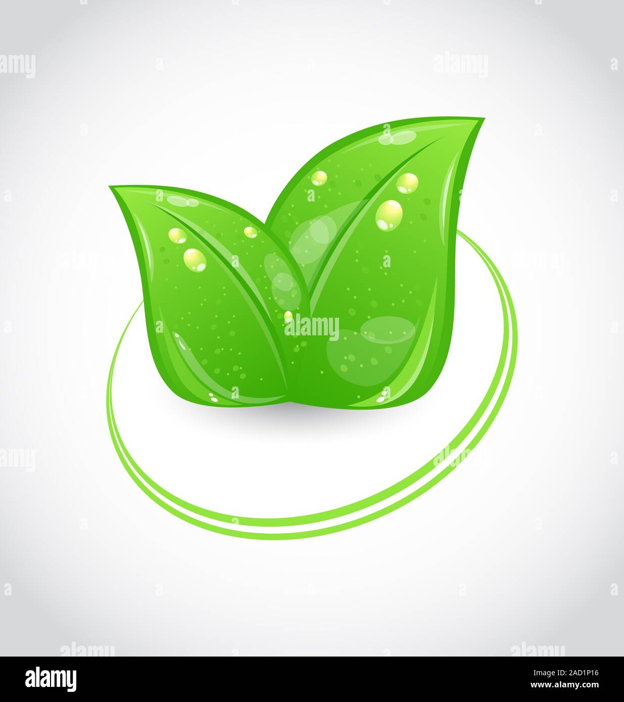 Eco design vert avec des feuilles de symbole Banque D'Images
