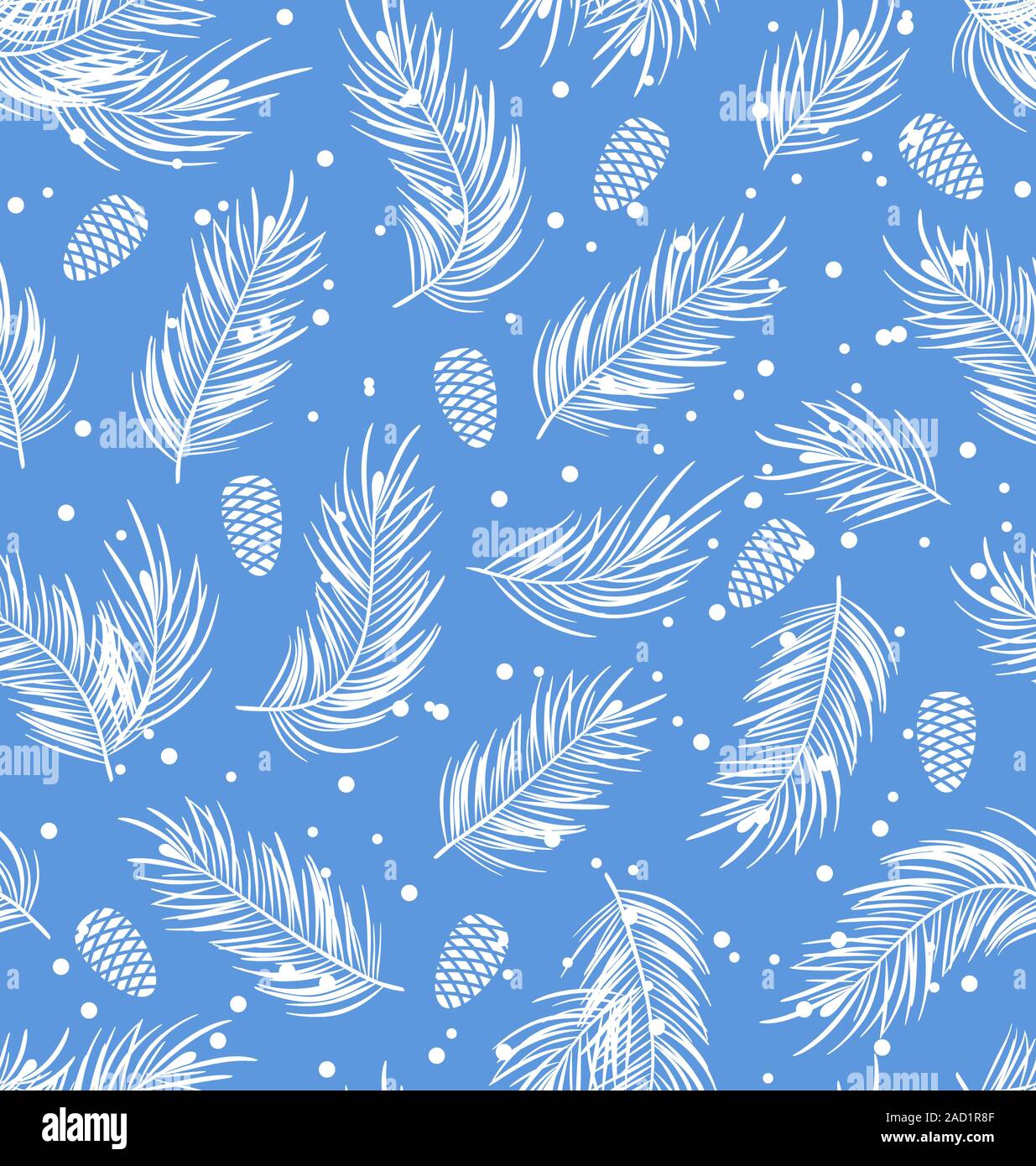 Modèle transparent avec des branches de sapin et les cônes Banque D'Images