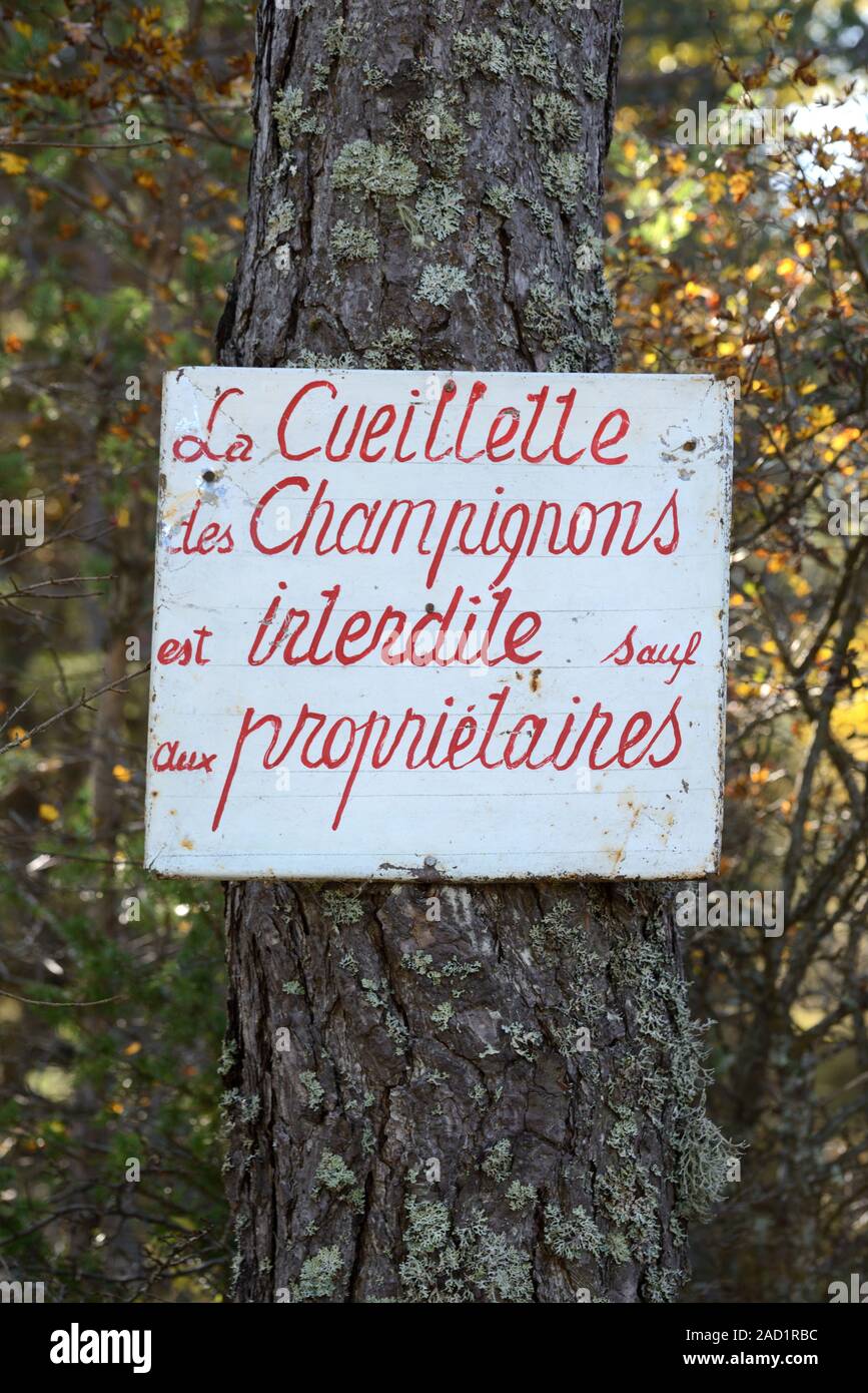 Panneau interdisant la collecte de champignons, la cueillette des champignons, la cueillette des champignons ou de nourriture aux champignons Provence France Banque D'Images