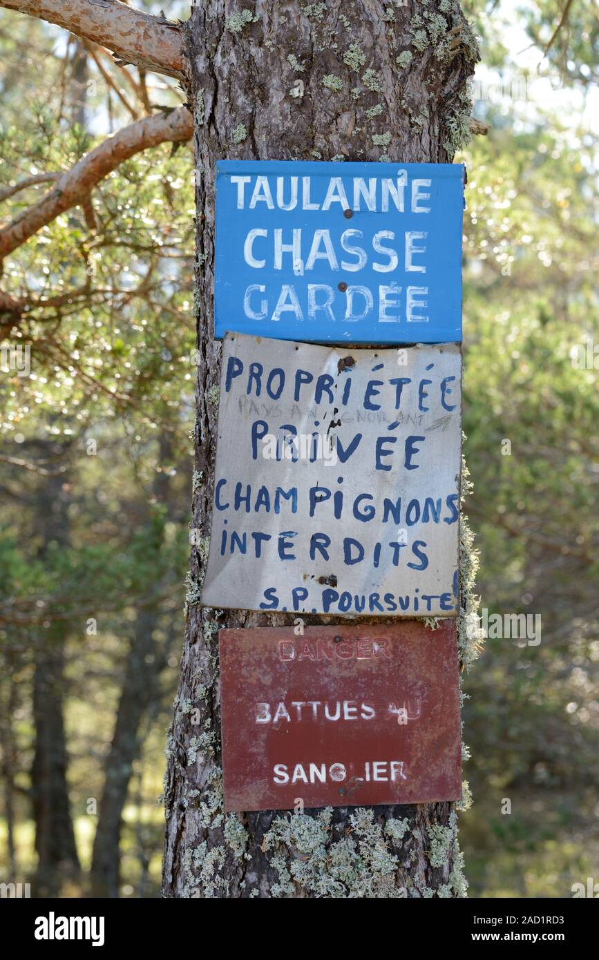 Panneau interdisant la collecte de champignons, la cueillette des champignons, la cueillette des champignons ou de nourriture aux champignons Provence France Banque D'Images