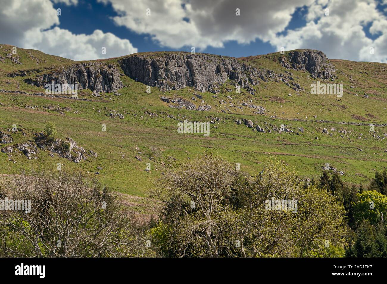 Colline de roches pourrait derrière la ville de Largs Ecosse à Ayrshire typique sur les terres agricoles bien sûr avec des arbres et des haies Banque D'Images