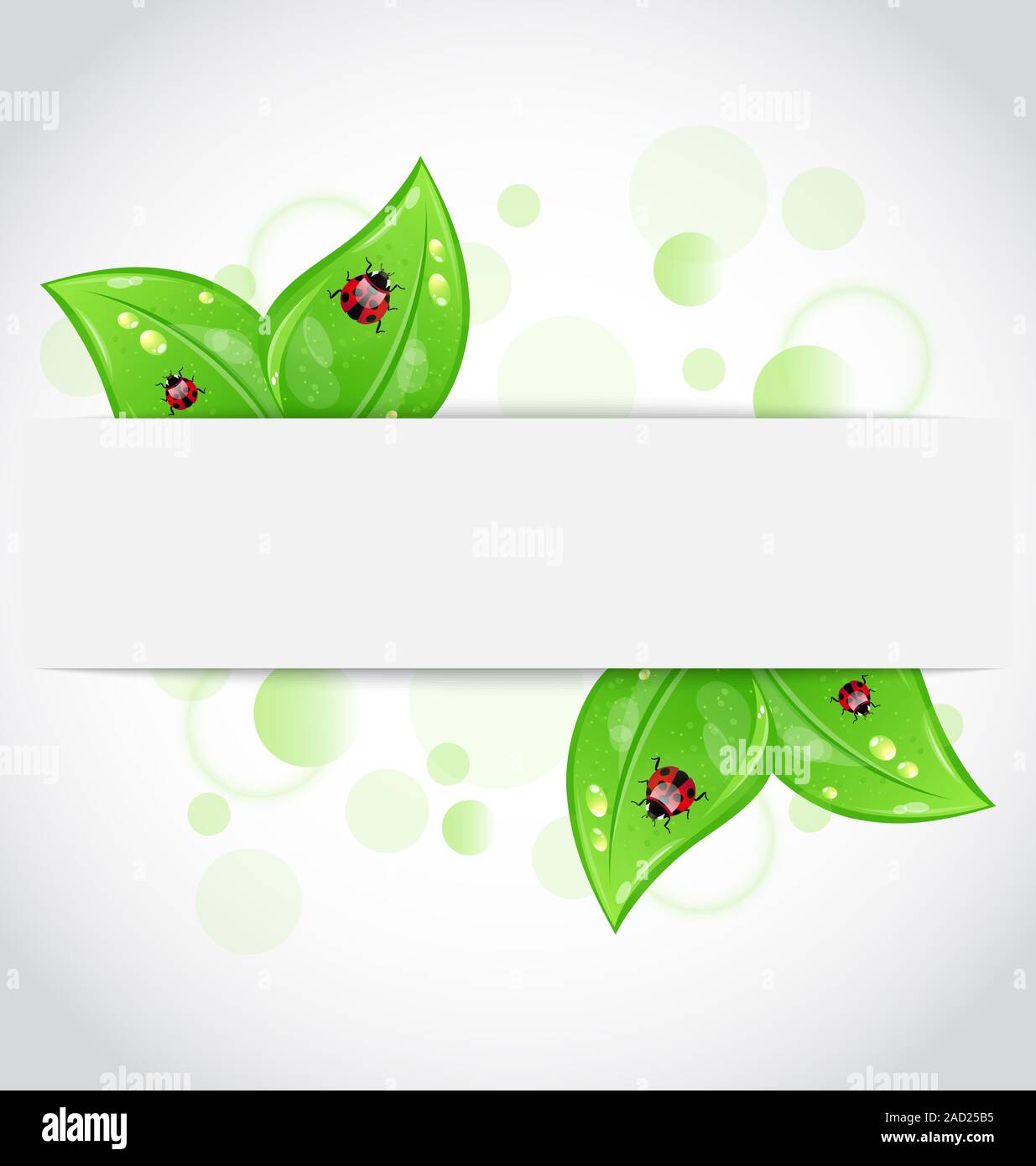 Eco green feuilles avec les coccinelles qui dépasse de la coupe du papier Banque D'Images