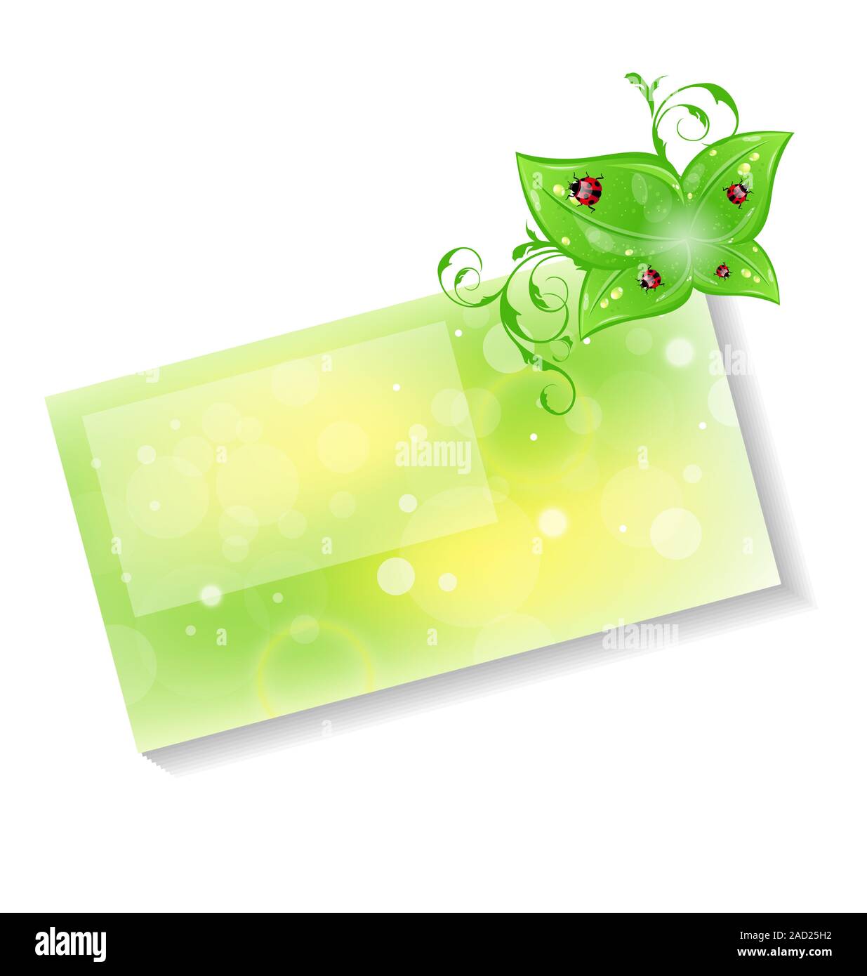 Eco friendly card avec des feuilles vertes et coccinelles Banque D'Images