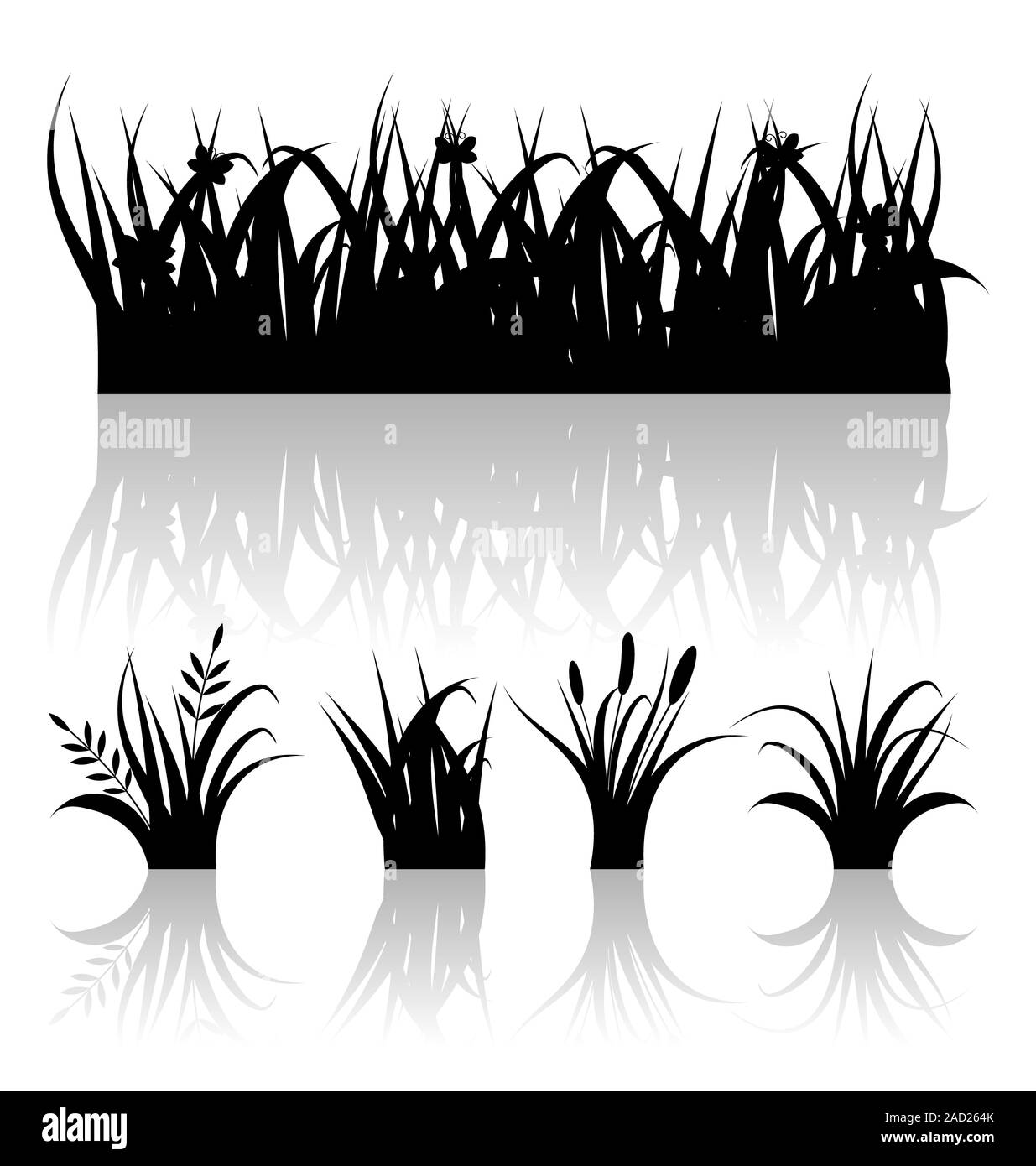Silhouette d'ensemble de l'herbe avec réflexion isolé sur fond blanc Banque D'Images