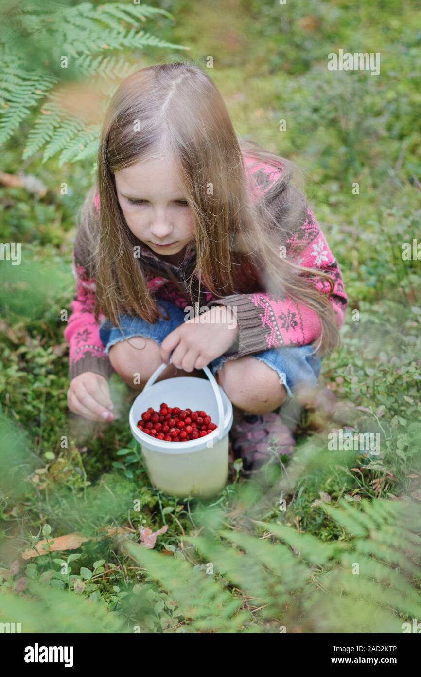 Girl picking berries Banque D'Images