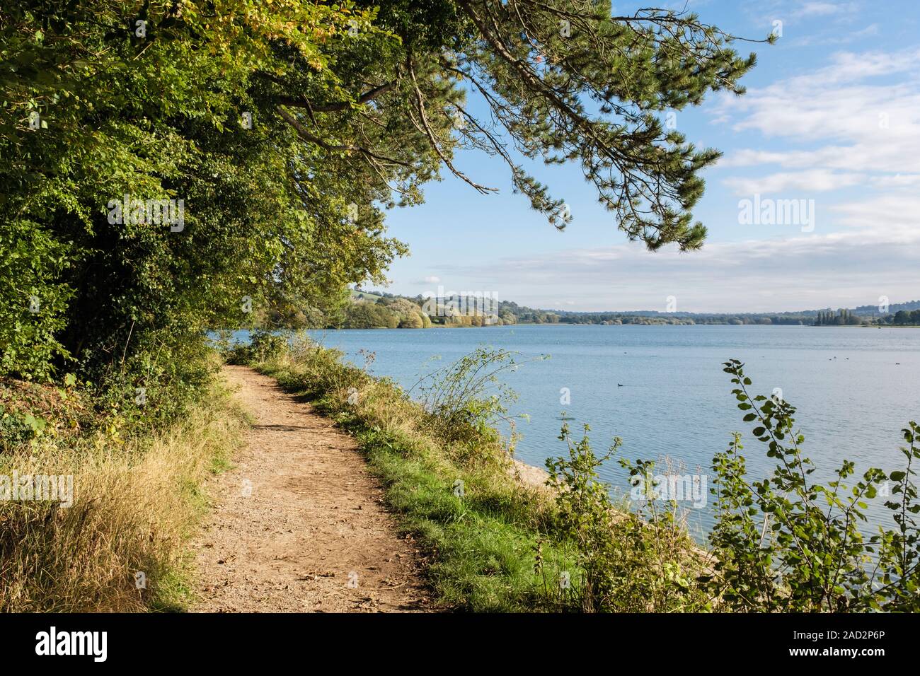 Trajet autour de Blagdon Lake reservoir en collines de Mendip. Blagdon, Bristol, Somerset, England, UK, Grande-Bretagne Banque D'Images