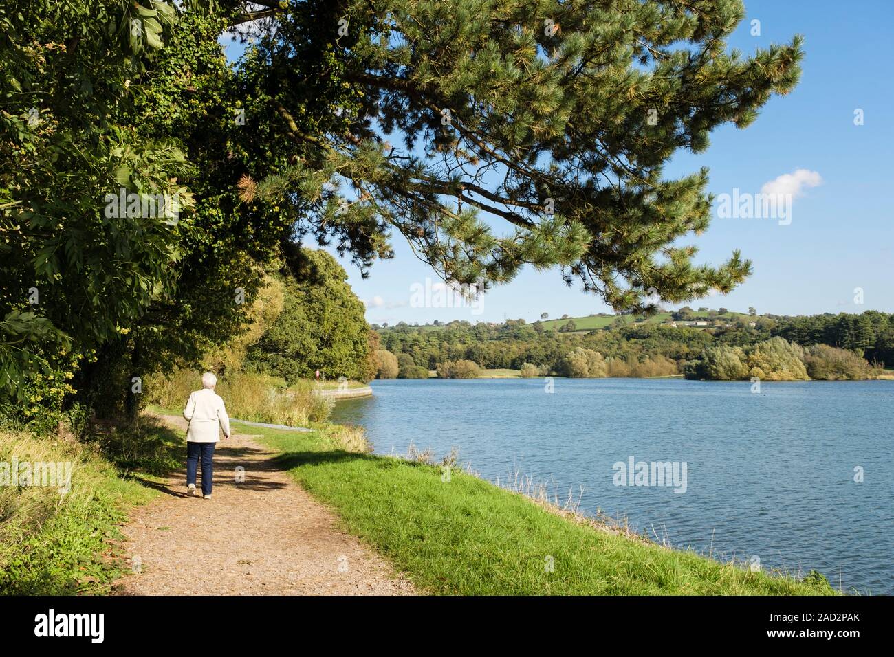 Trajet autour de Blagdon Lake reservoir en collines de Mendip avec senior woman walking. Blagdon, Bristol, Somerset, England, UK, Grande-Bretagne Banque D'Images