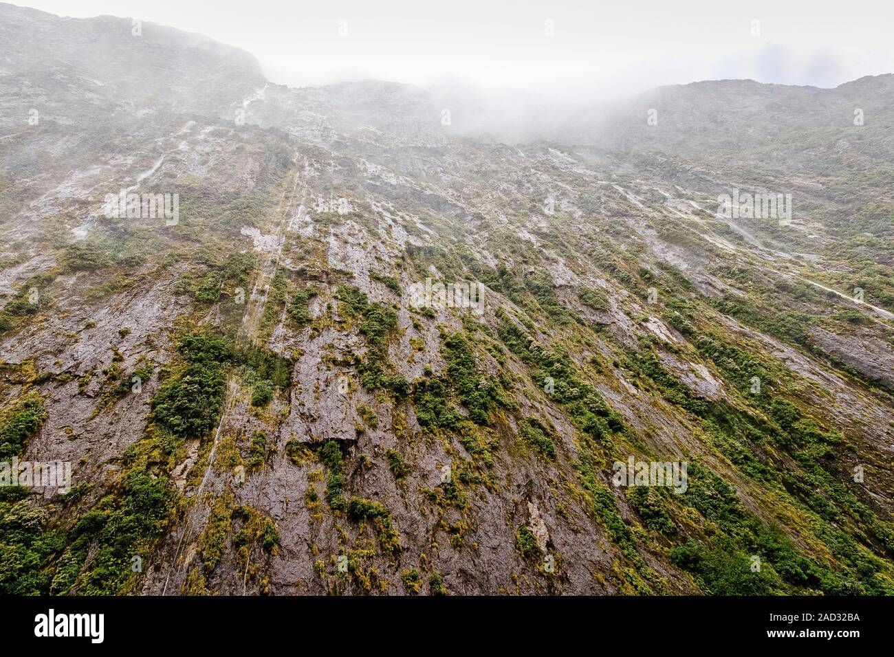 Chutes d'eau de la montagne face à Milford Sound, qui a des arbres et des arbustes s'accrochant à elle, sur les nutriments fournis par les algues. Banque D'Images