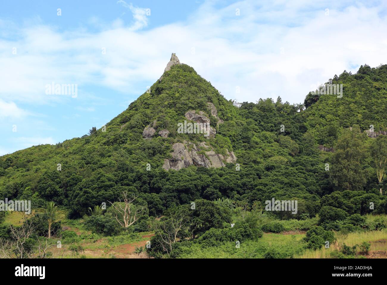 L'Ile Maurice, typique du paysage de montagnes volcaniques Banque D'Images