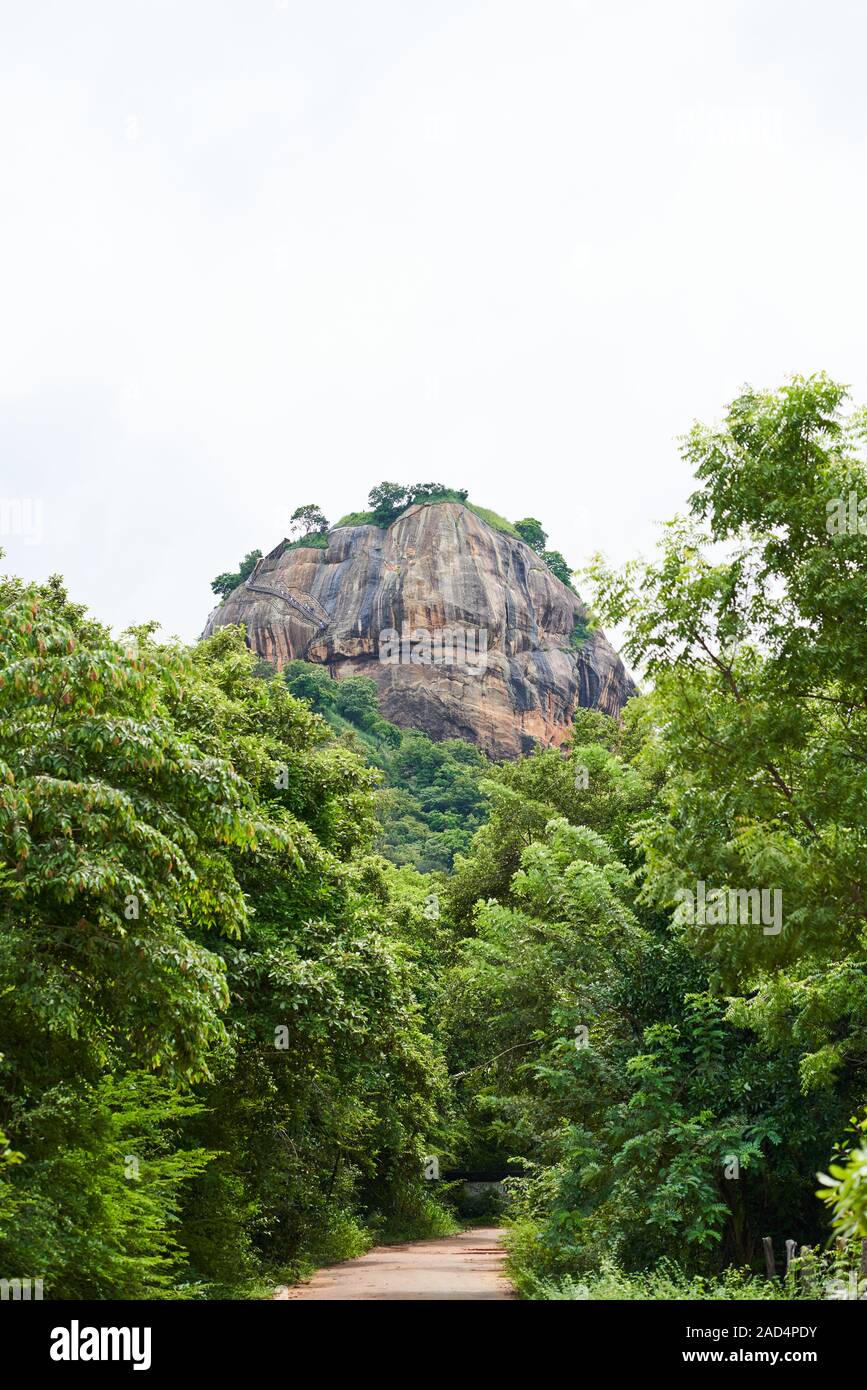 Sigiriya Rock sur un petit chemin de rupture à travers la jungle au Sri Lanka Banque D'Images