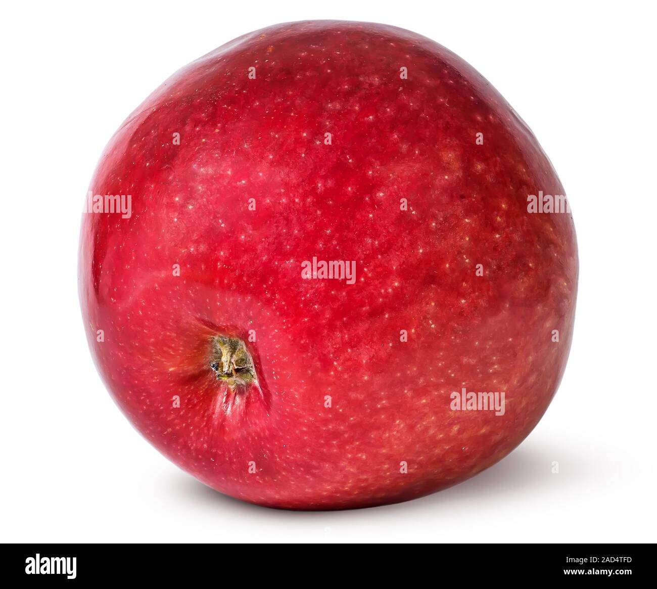 Vue de dessous de pomme mûre rouge Banque D'Images