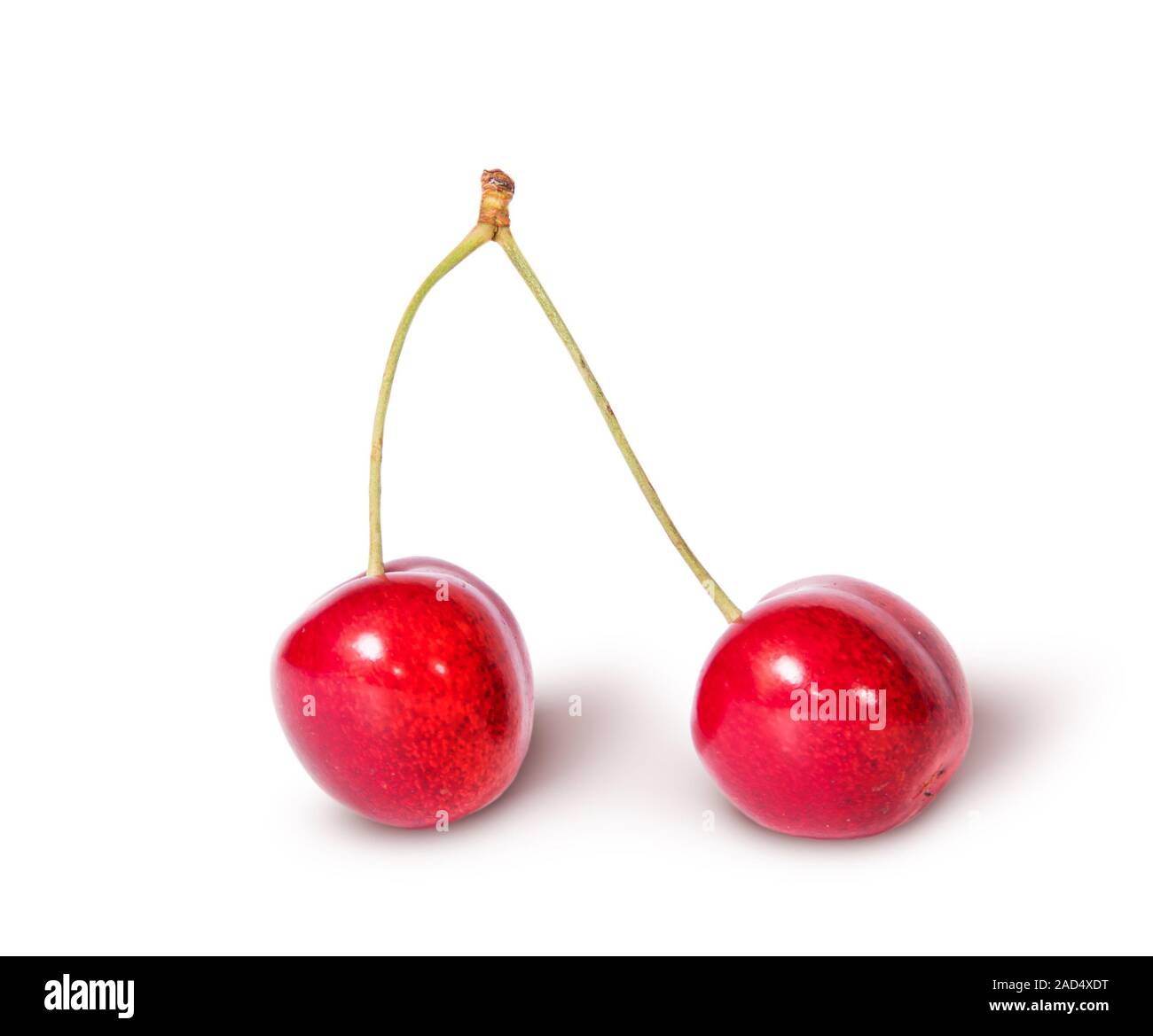 Cerises rouges juteuses Banque de photographies et d’images à haute ...