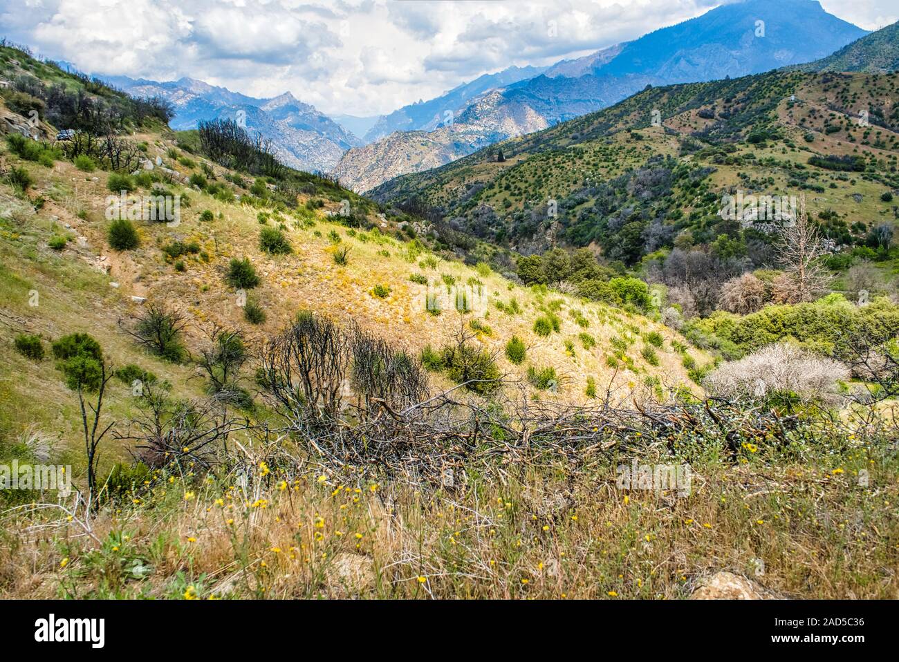 Scenic hills à Sequoia National Forest,California,USA Banque D'Images