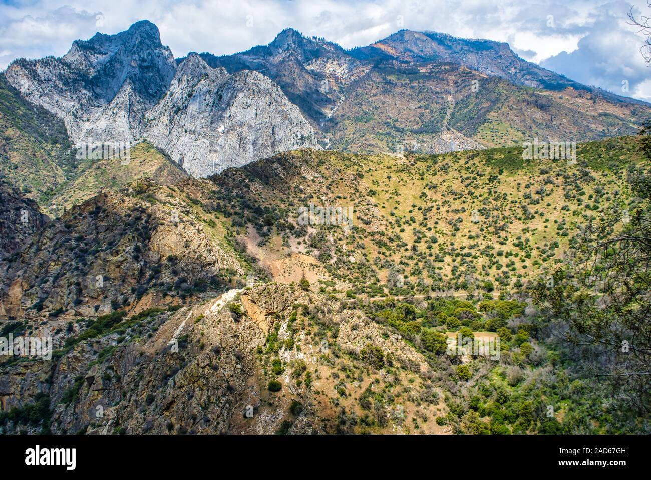 Dans Maountains Sequoia National Forest,California,USA Banque D'Images