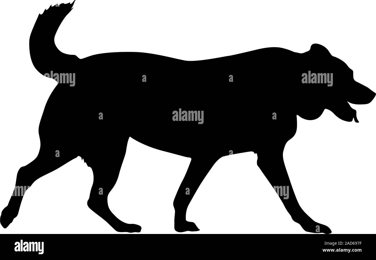 Chien Labrador silhouette sur un fond blanc. Illustration de Vecteur Chien Labrador silhouette sur un fond blanc. Illustration de Vecteur
