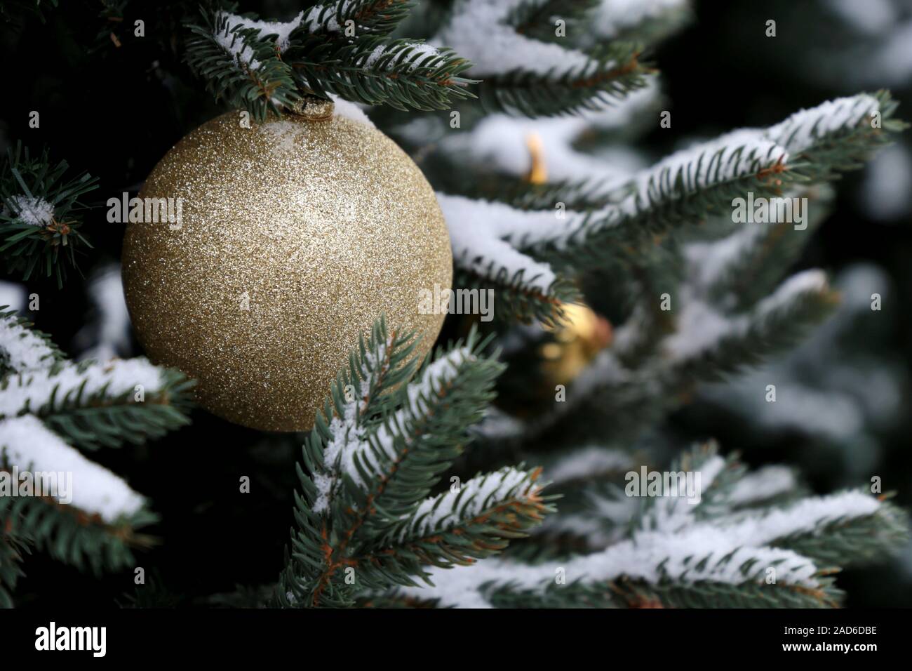 Décorations de Noël sur un sapin branches couvertes par la neige sur la rue d'hiver. Nouvel An des arbres avec de petites boules, magie de la maison de vacances Banque D'Images
