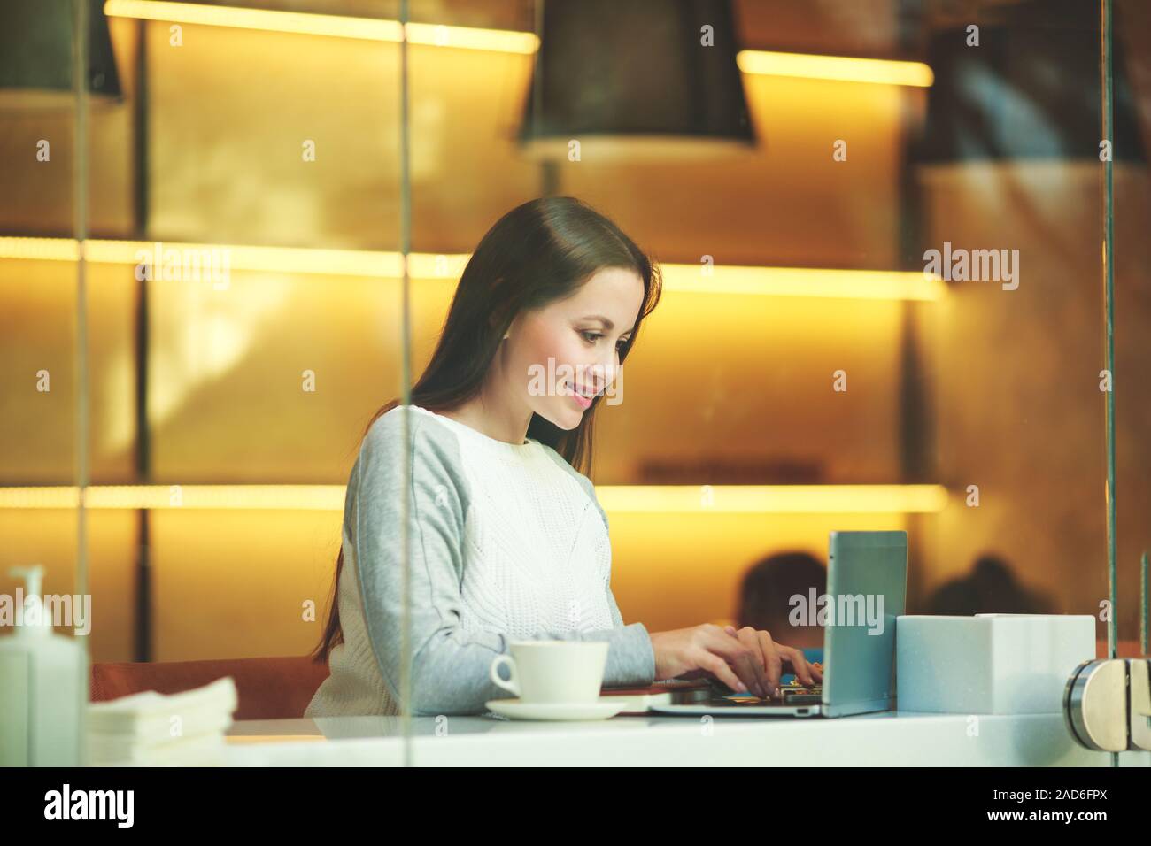 Belle femme d'affaires à l'aide d'un ordinateur portable et d'écriture sur le document d'affaires Banque D'Images