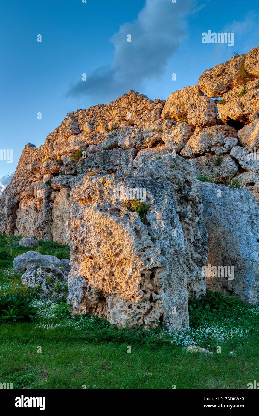 Ġgantija Temples à Triq il Tafla, Gozo, Malte. Construit à environ 3500BC et site du patrimoine mondial de l'UNESCO. Aujourd'hui conservé au musée. Banque D'Images