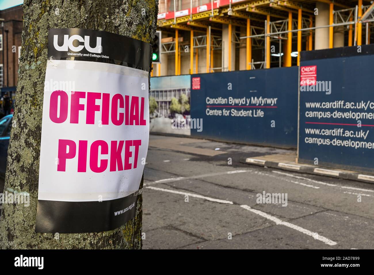 CARDIFF, WALES - NOVEMBRE 2019 : Enseigne apposée à un arbre près d'une ligne de piquetage à l'extérieur de l'Université de Cardiff. Il marque par des membres d'action industrielle Banque D'Images