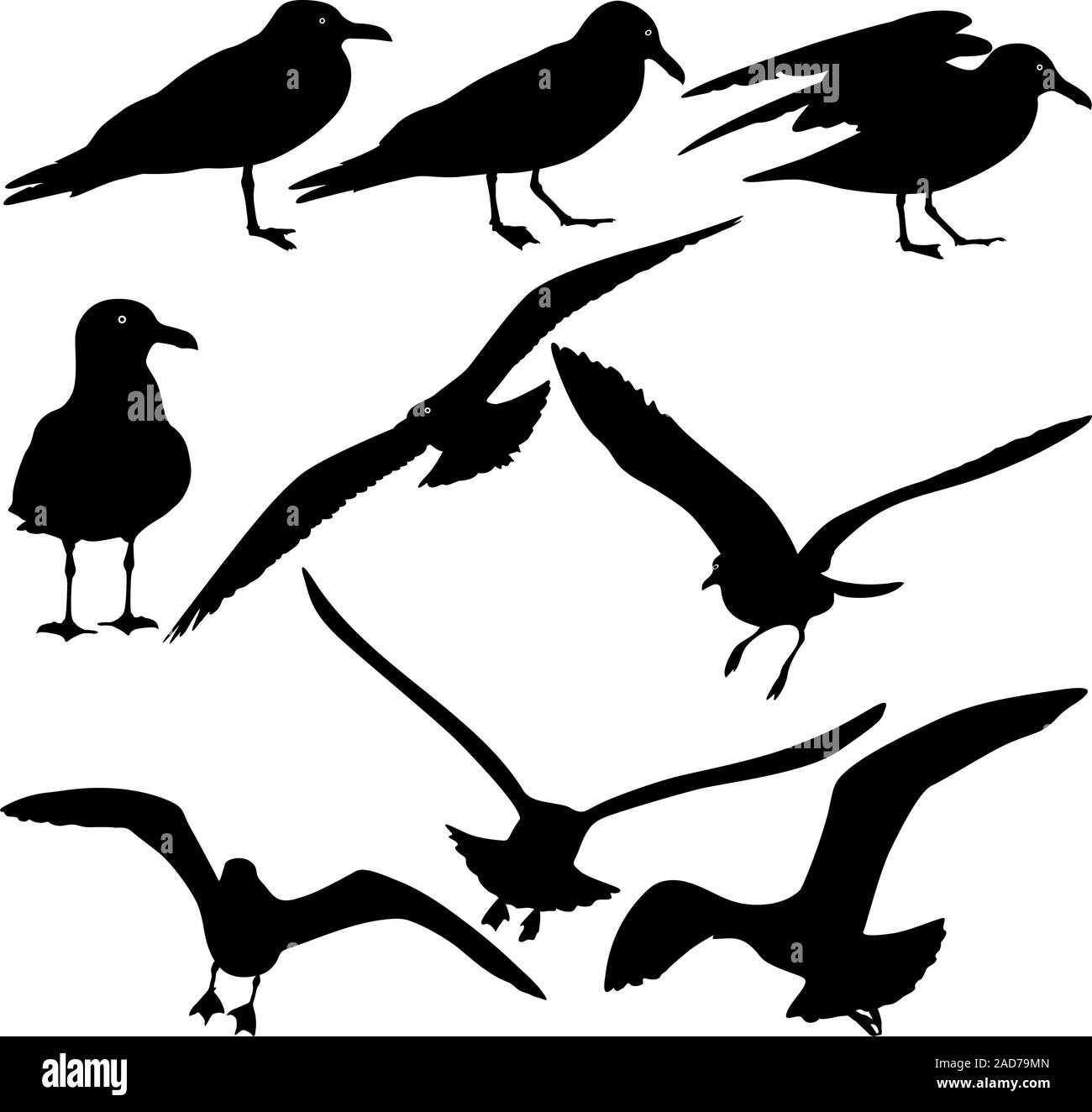 Set silhouettes noires de mouettes sur fond blanc. Illustrations vectorielles. Illustration de Vecteur