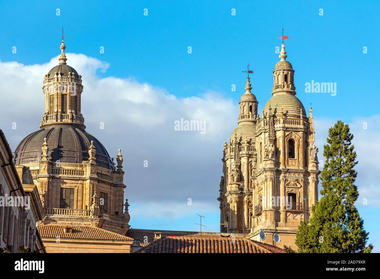 Le toit de la cathédrale de Salamanque en Espagne Banque D'Images