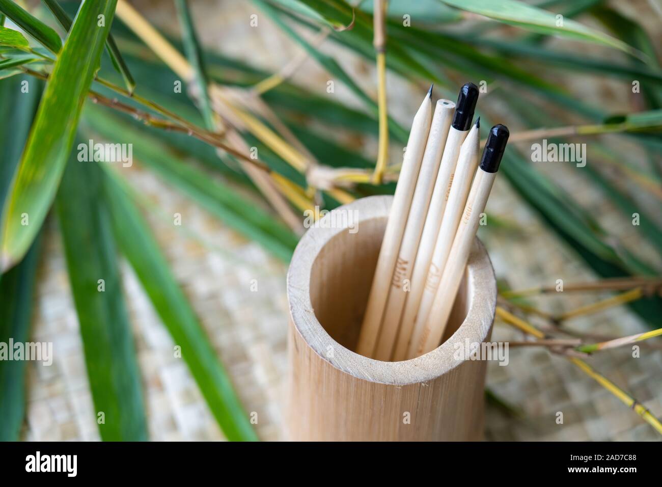 Crayons plantables faites de bambou.Au lieu d'une gomme à la fin, une capsule de gélatine biodégradable est utilisé contenant des graines. À la fin de l'penc Banque D'Images
