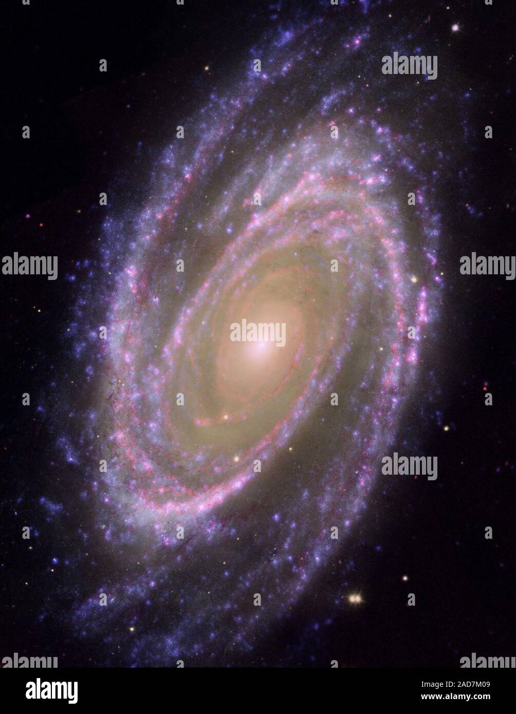 Cette image combine les données du télescope spatial Hubble, le télescope spatial Spitzer et le Galaxy Evolution Explorer (GALEX) missions. L'ultraviolet GALEX ont été données à partir de la partie du spectre UV (135 à 175 nanomètres). Les données infrarouge Spitzer ont été prises avec l'IRAC 4 détecteur (8 microns). Les données de Hubble ont été prises sur la partie bleue du spectre. Noms des objets : M81, NGC 3031, la galaxie de Bode : Type d'image Crédit : données astronomiques Hubble : NASA, ESA, A. et Zezas (Harvard-Smithsonian Center for Astrophysics) ; données GALEX : NASA, JPL-Caltech, GALEX Team, J. Huchra et al Banque D'Images