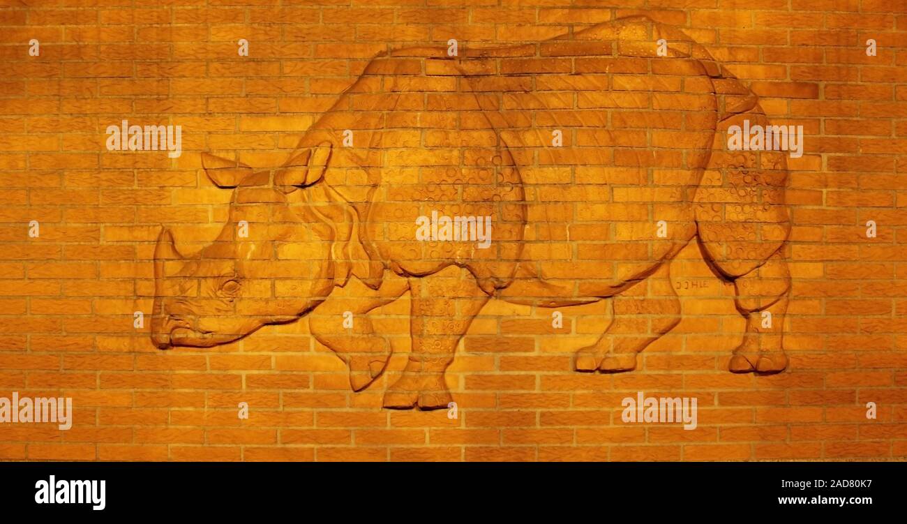 Bas-relief de rhinocéros au zoo de Berlin Banque D'Images